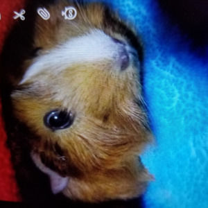 Meet your Posher, Sandra